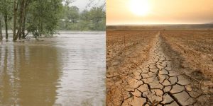 ¡El clima mundial se prepara para una transición hacia La Niña en la segunda mitad de 2024!